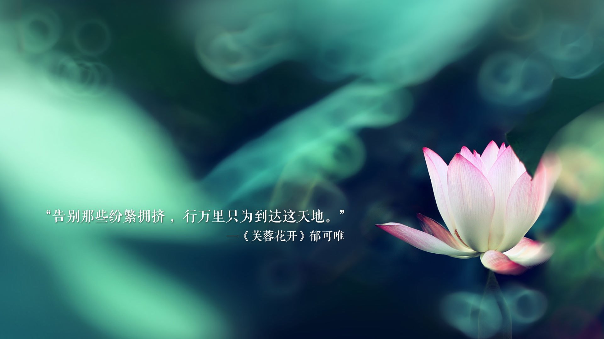 开云网址入口-体育赛事数字营销策略设计，体育赛事营销有哪些创新方式